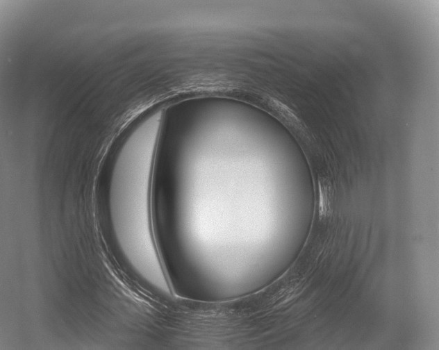X0000055980627200508190730