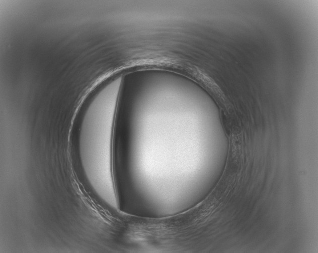 X0000055980628200508190730