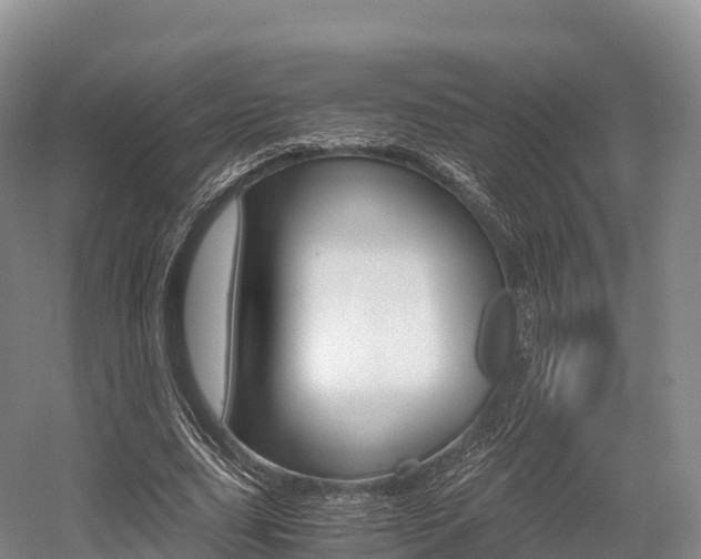 X0000055980631200508190730