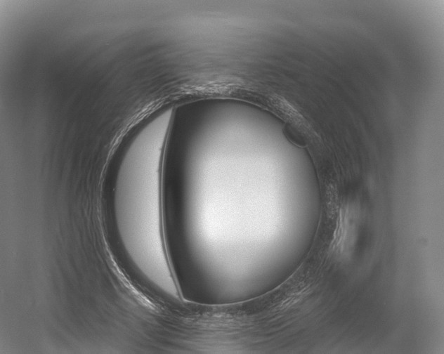 X0000055980634200508190730