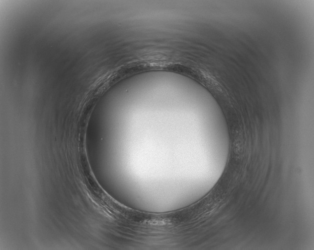 X0000055980639200508190730