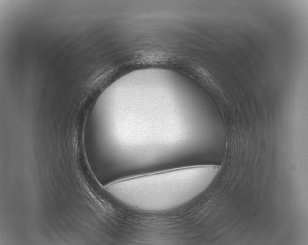 X0000055980640200508190730