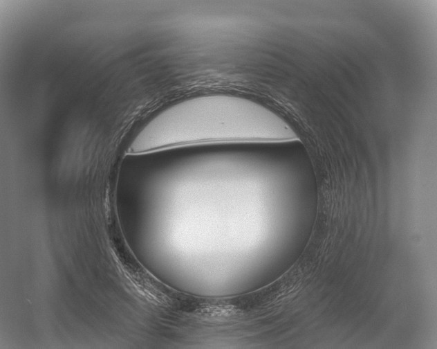 X0000055980642200508190730