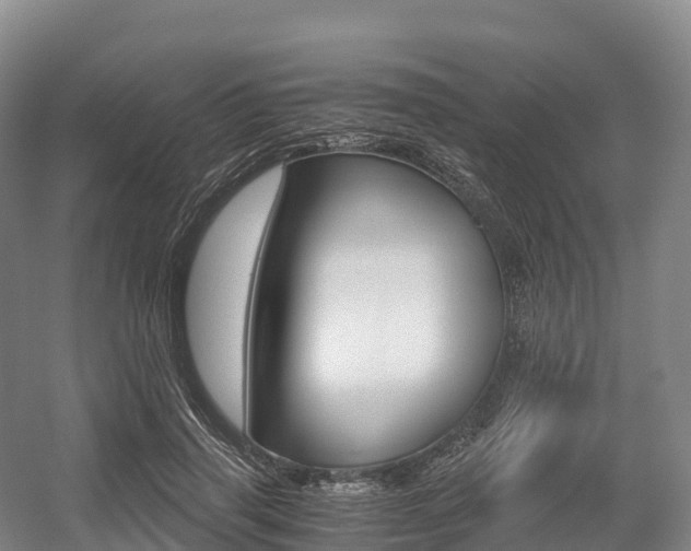 X0000055980645200508190730