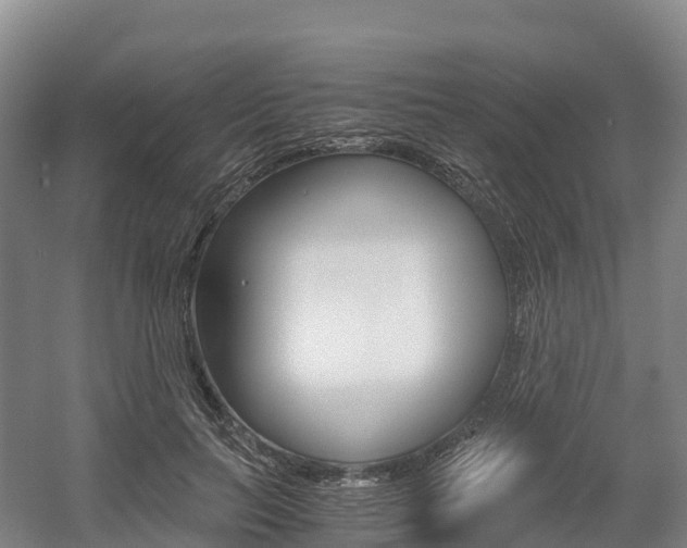 X0000055980647200508190730