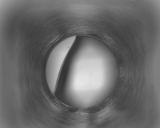 X0000055980648200508190730