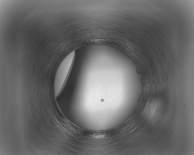 X0000055980651200508190730