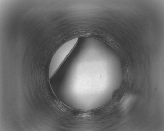 X0000055980655200508190730