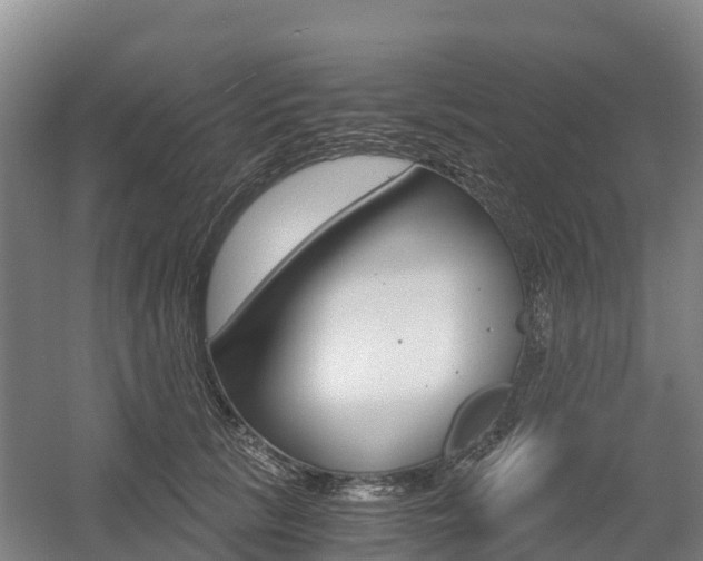 X0000055980657200508190730