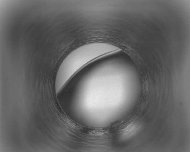 X0000055980661200508190731