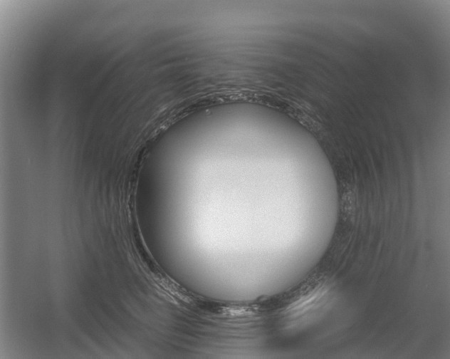 X0000055980662200508190731