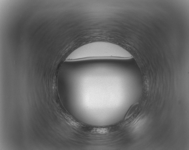 X0000055980665200508190731