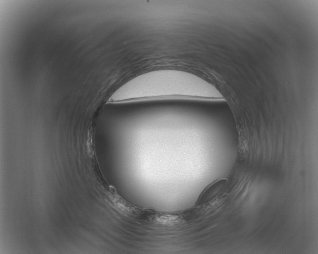 X0000055980669200508190731