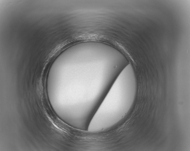 X0000055980674200508190730