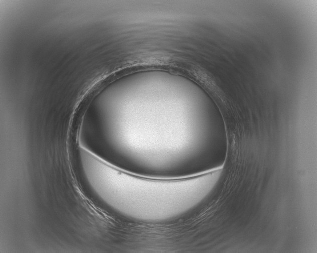 X0000055980676200508190730
