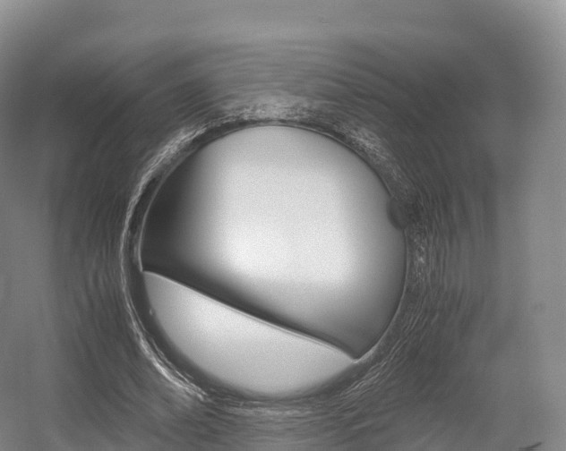 X0000055980678200508190730
