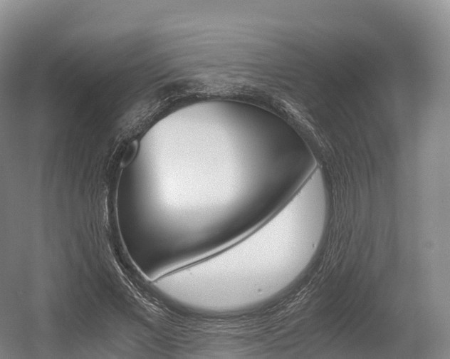 X0000055980685200508190730