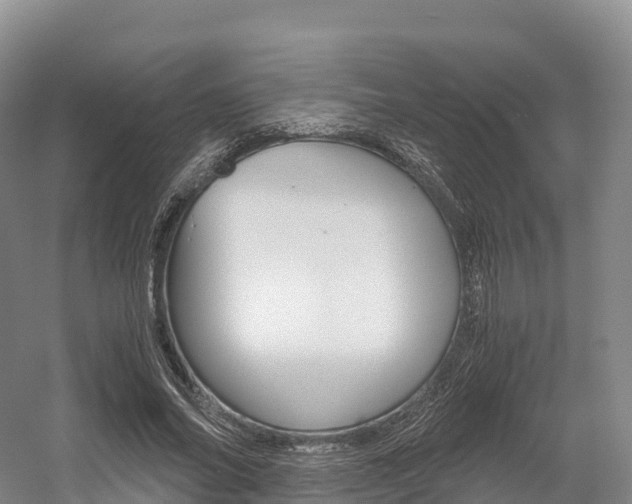 X0000055980686200508190730