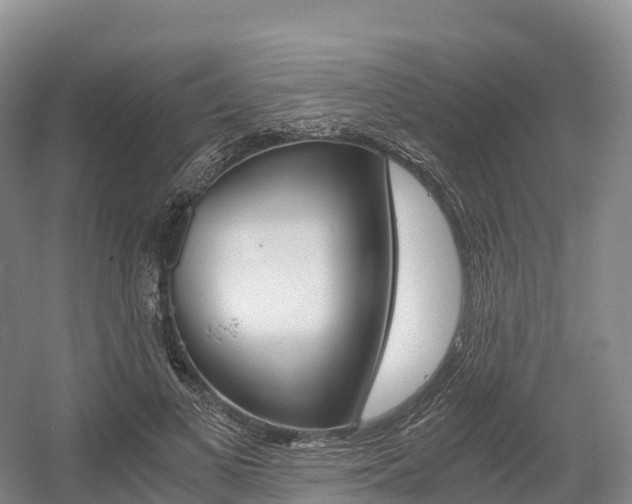 X0000055980693200508190730