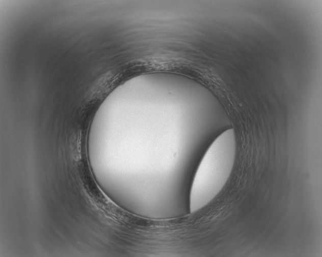 X0000055980694200508190730