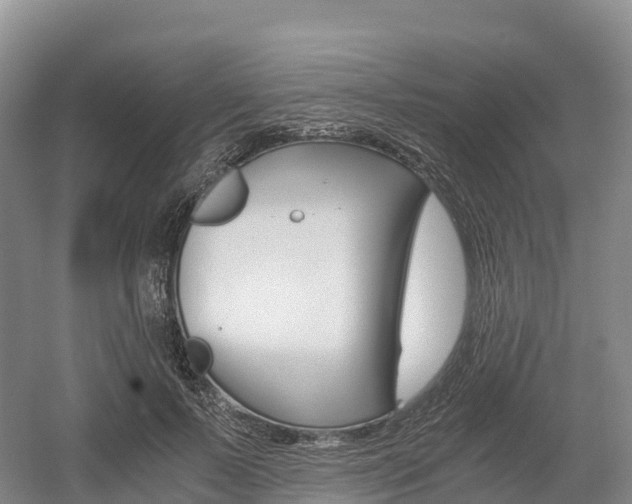 X0000055980695200508190730