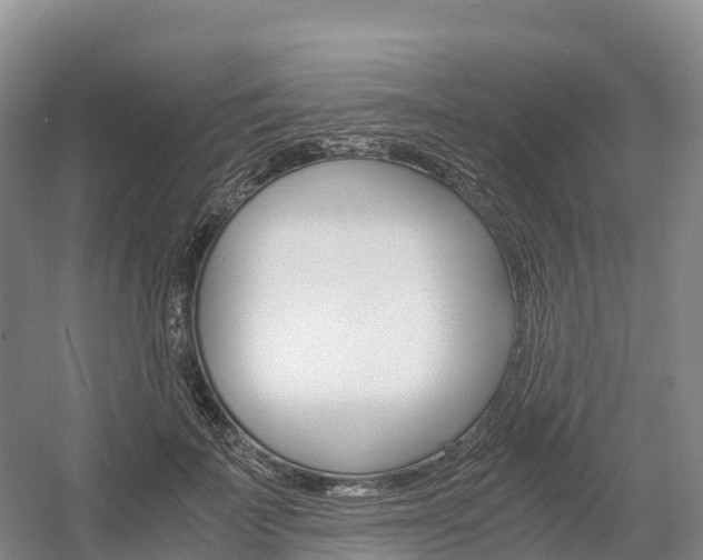 X0000055980699200508190729