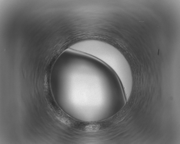 X0000055980700200508190729