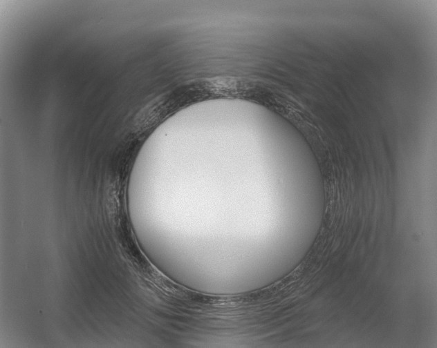 X0000055980702200508190729
