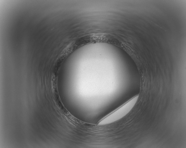 X0000055980712200508190729