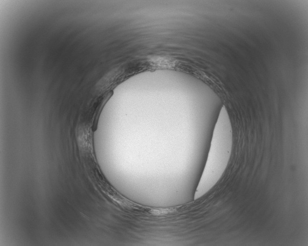 X0000055980713200508190729
