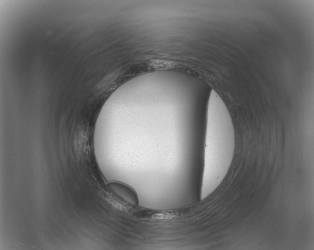 X0000055980714200508190729