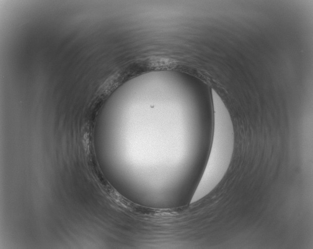 X0000055980716200508190729