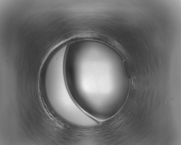 X0000055980724200508190728