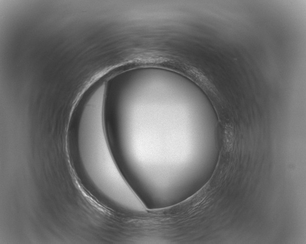 X0000055980726200508190728