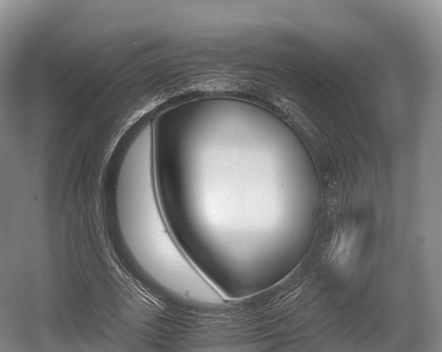 X0000055980727200508190728