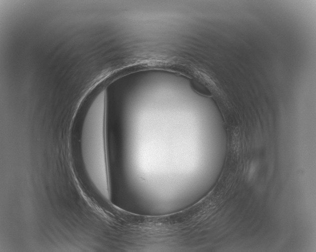 X0000055980730200508190728