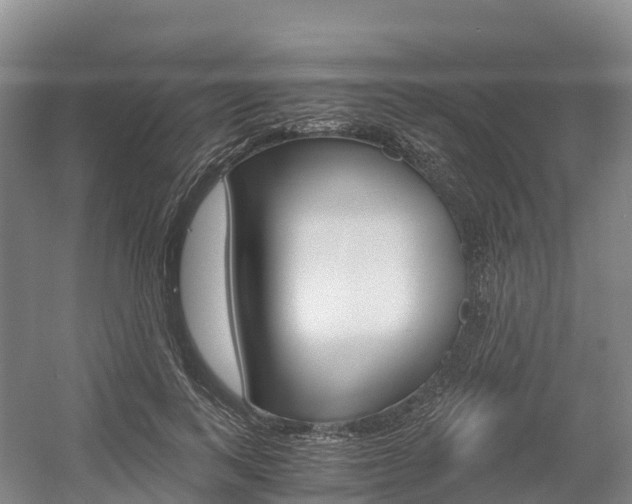 X0000055980743200508190729