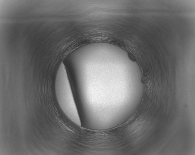 X0000055980745200508190729