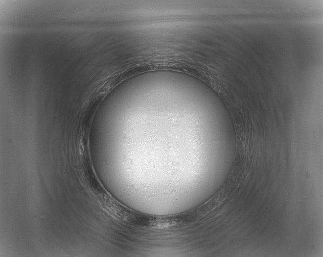 X0000055980746200508190729