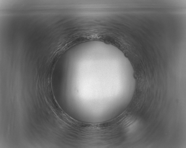 X0000055980747200508190729