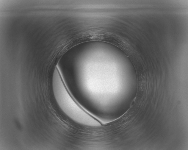 X0000055980748200508190729