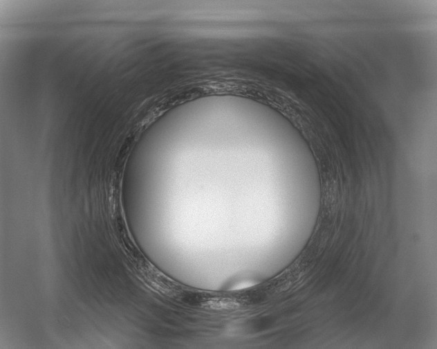 X0000055980749200508190729