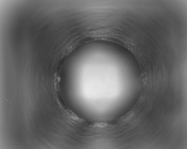 X0000055980767200508190729