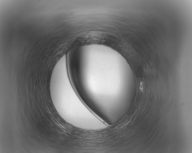 X0000055980771200508190728