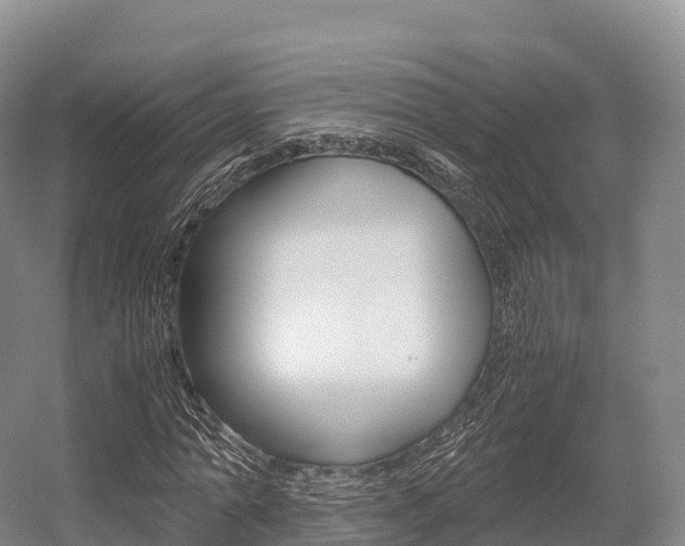 X0000055980774200508190728