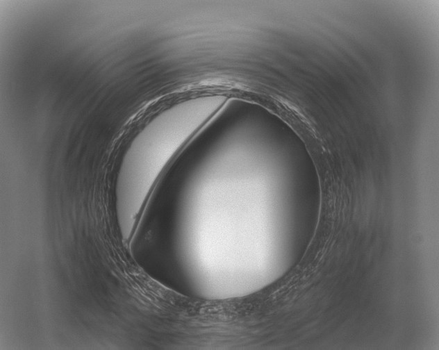 X0000055980776200508190728