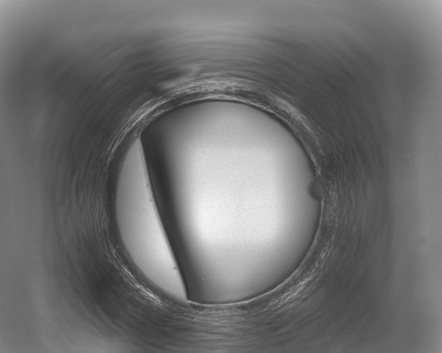 X0000055980778200508190728