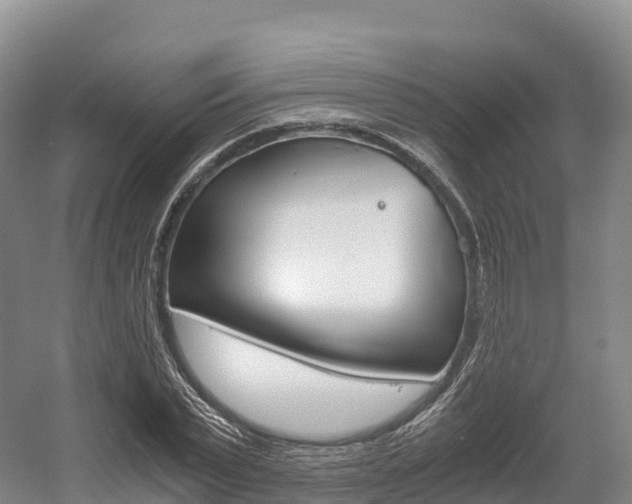 X0000055980783200508190728