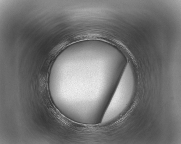 X0000055980785200508190728