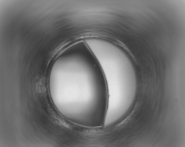 X0000055980786200508190728